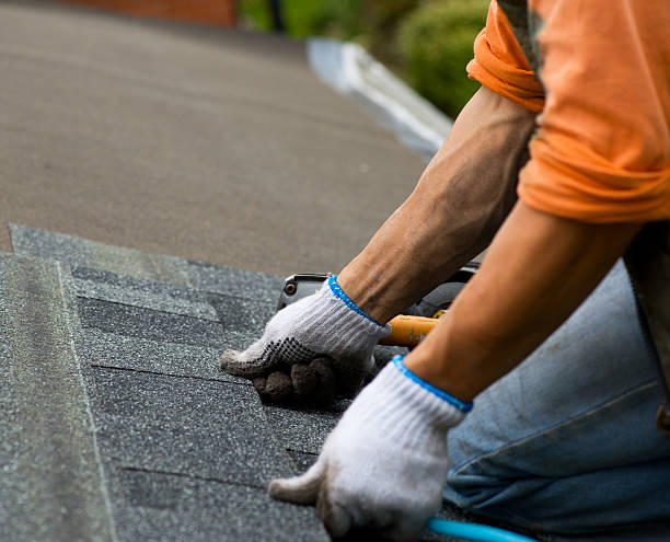 Best Roof Gutter Cleaning  in Trinidad, CO